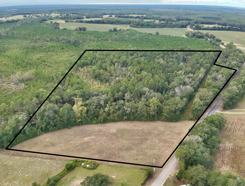 24-acres Mt Zion Road Gordon, AL 36343 - Photo 1 of 13