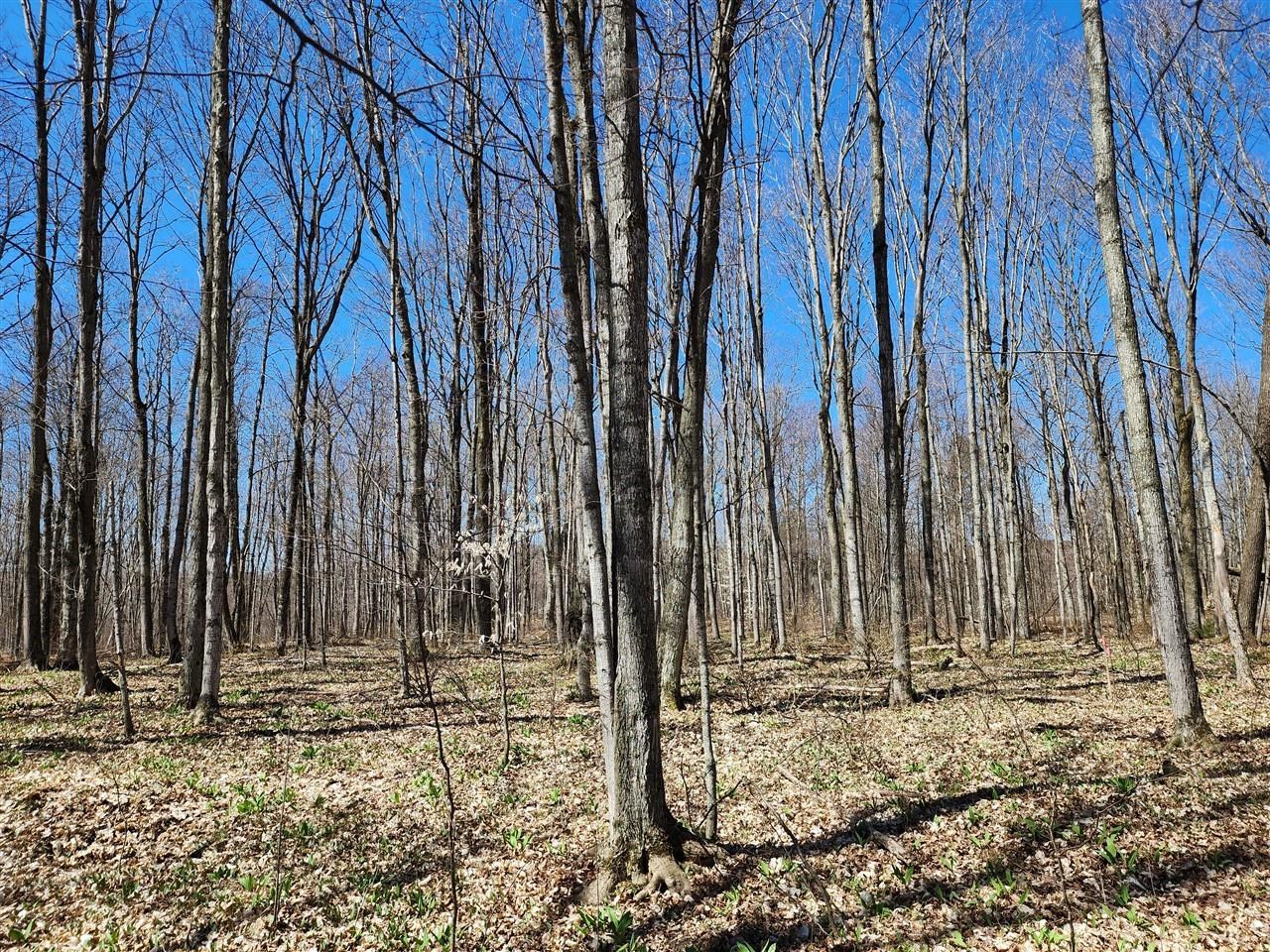 28 Goshawk Ridge Traverse City, MI 49684 - Photo 10 of 21