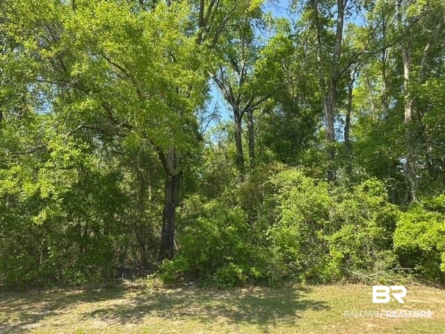 0 I-65 Service Road Satsuma, AL 36572 - Photo 13 of 27 View of nature featuring a forest view