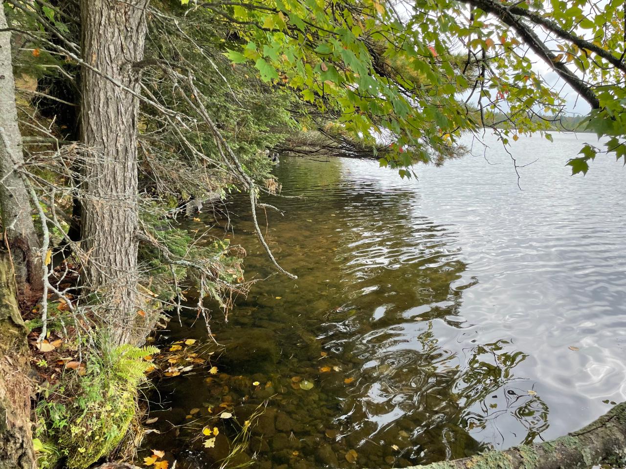 On Jansen Road, Unit LOT 5 Minocqua, WI 54548 - Photo 14 of 16 Gallery Image 14