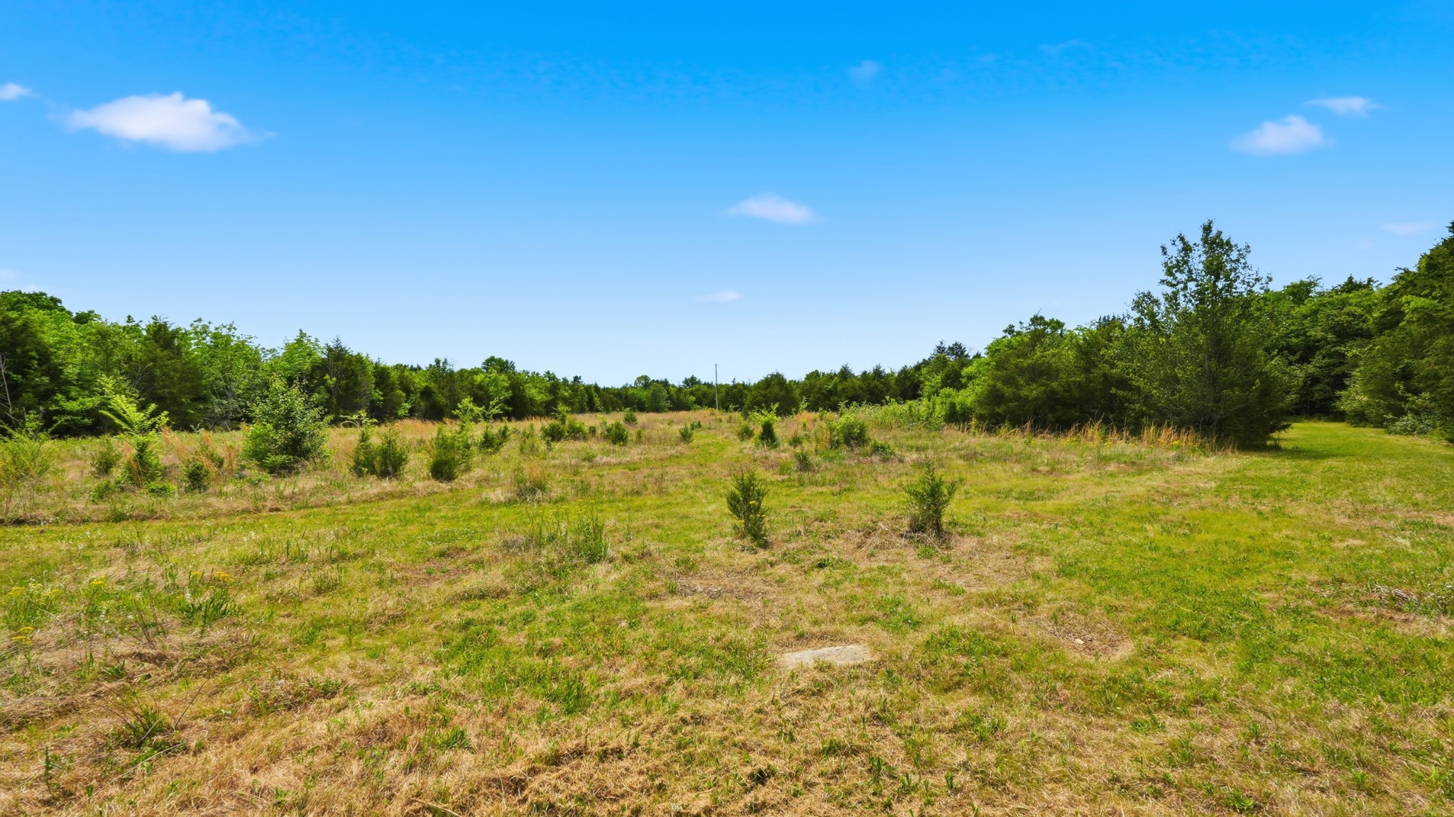 3630 West Trimble Road Milton, TN 37118 - Photo 33 of 36