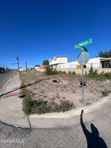 a view of a swimming pool with a yard