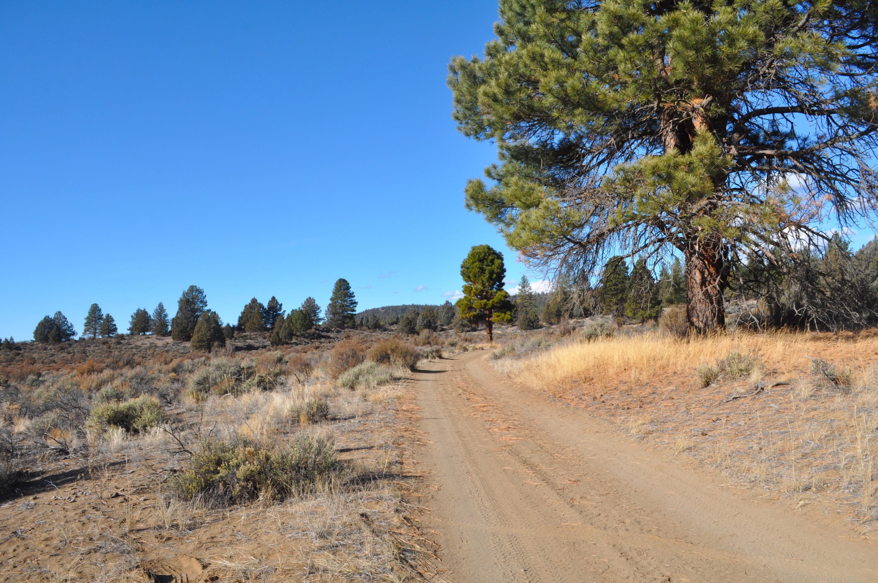 0 Tableland Road, Unit 1400 & 1500 Chiloquin, OR 97624 - Photo 5 of 16 North 1