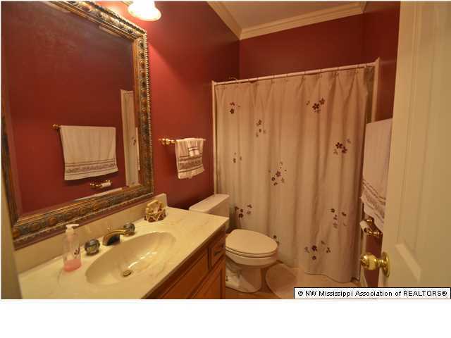 2629 Bienville Road Nesbit, MS 38651 - Photo 11 of 24 Additional Photo