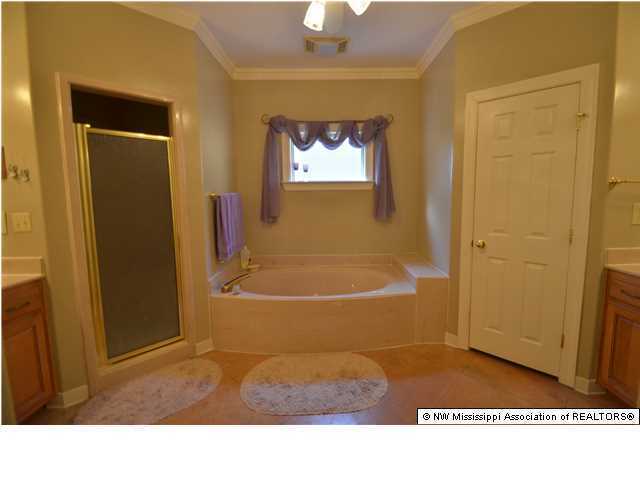 2629 Bienville Road Nesbit, MS 38651 - Photo 9 of 24 Additional Photo