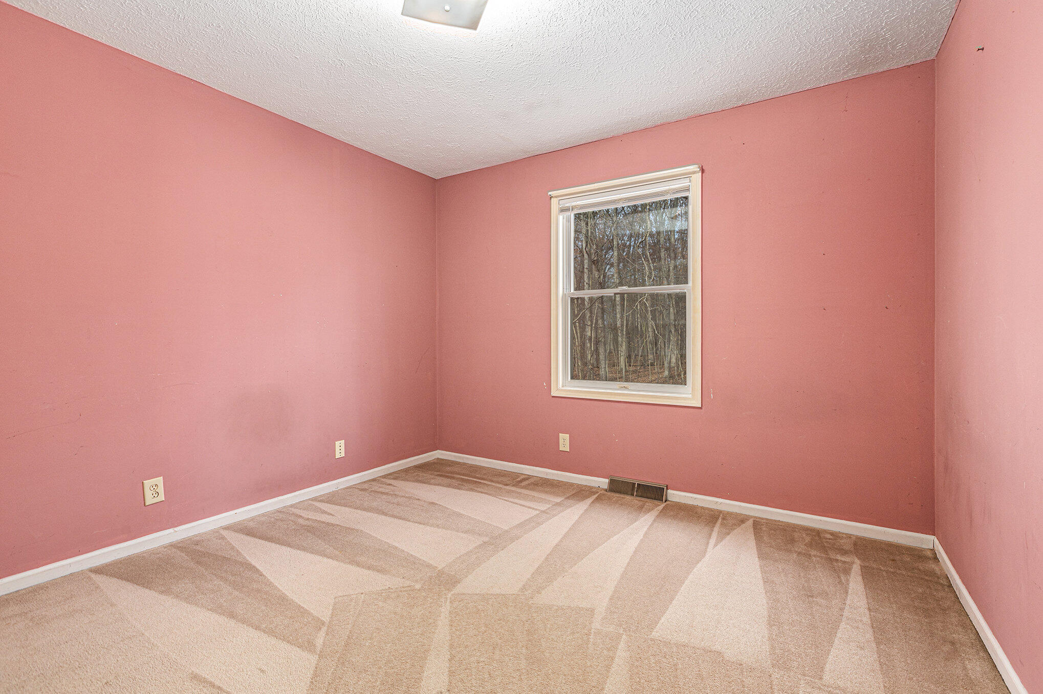 12250 Trinkle Road Dexter, MI 48130 - Photo 21 of 47 019__mg_8999_393