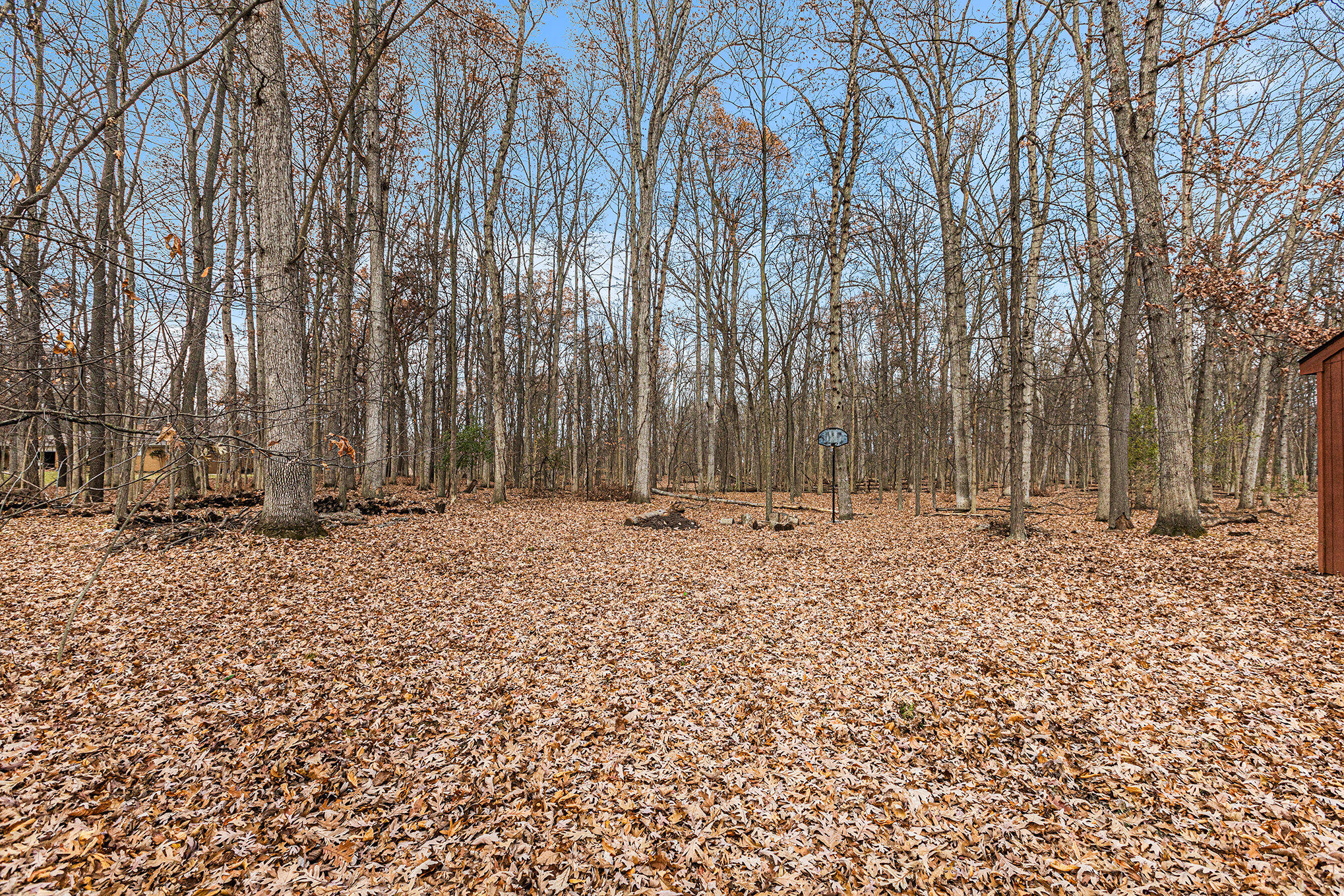 12250 Trinkle Road Dexter, MI 48130 - Photo 38 of 47 030__mg_9029_25