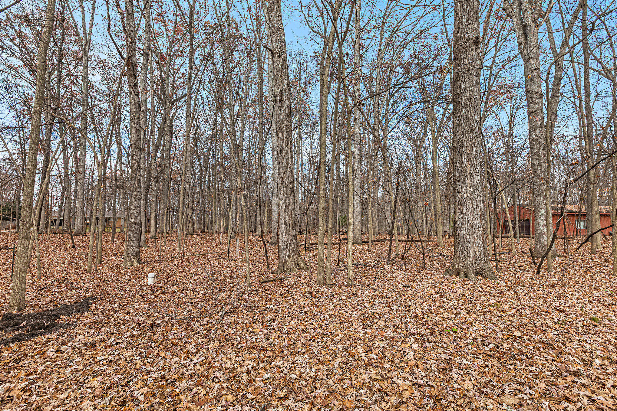 12250 Trinkle Road Dexter, MI 48130 - Photo 39 of 47 035__mg_9036_62