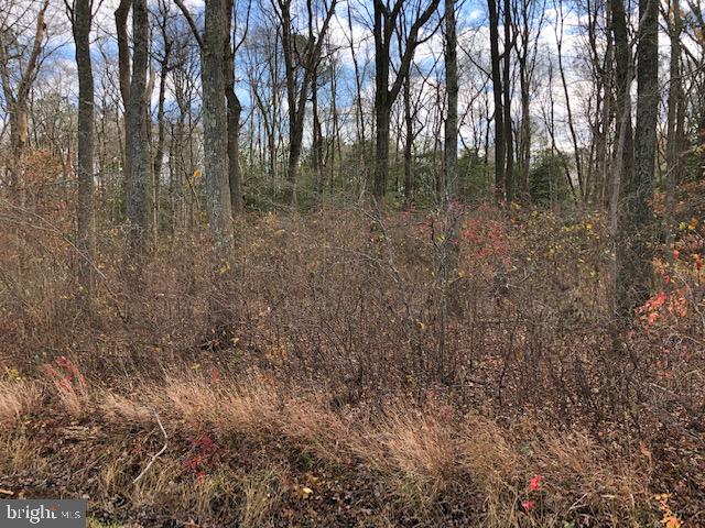 View from Carey Road