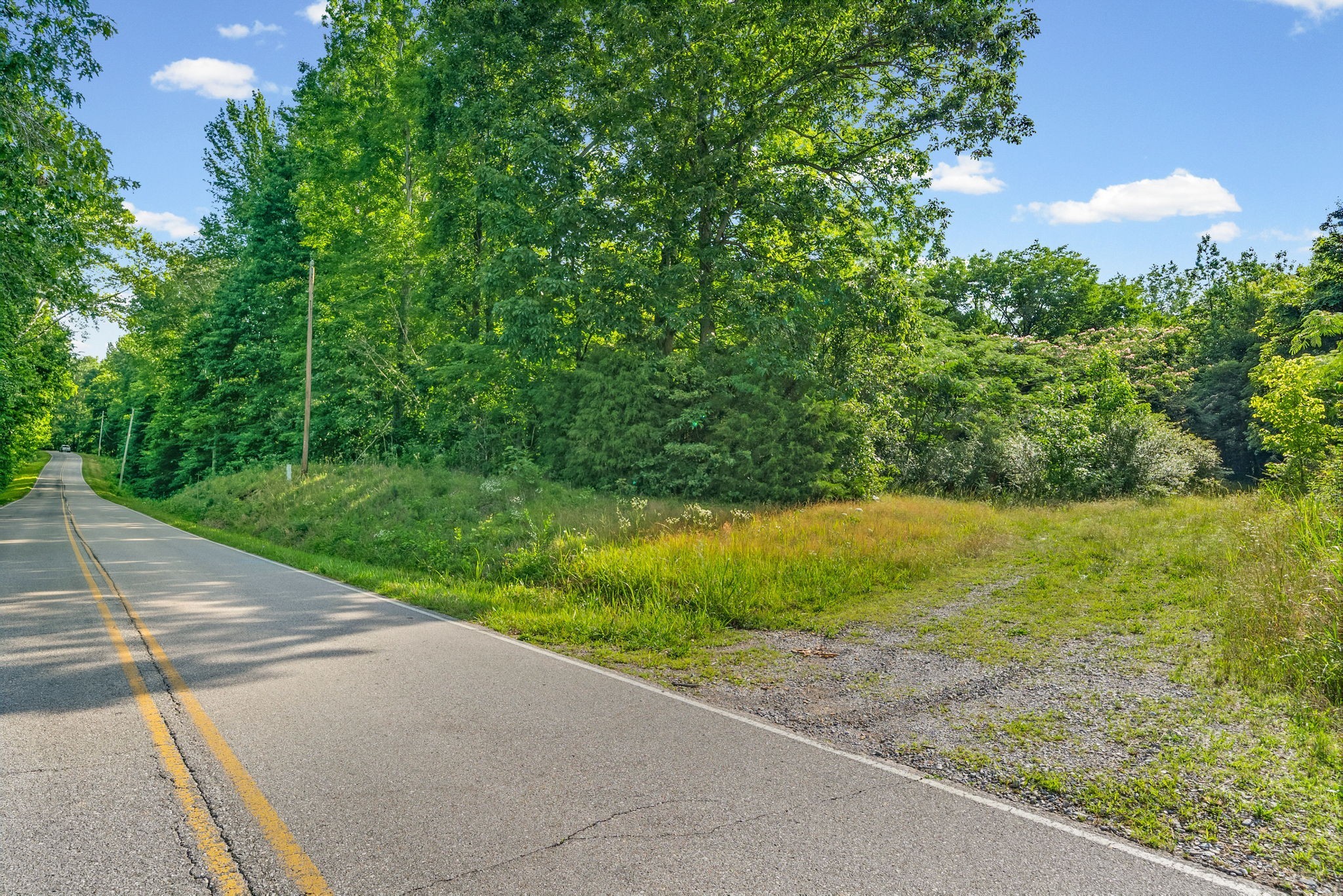1010 Saddle Tree Road Ashland City, TN 37015 - Photo 9 of 19 Gallery Image 9