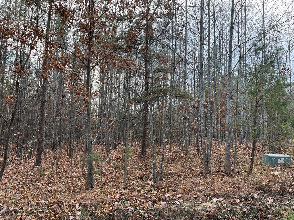 660 Heights School Road, Unit 2 Cullen, VA 23934 - Photo 2 of 3 Gallery Image 2