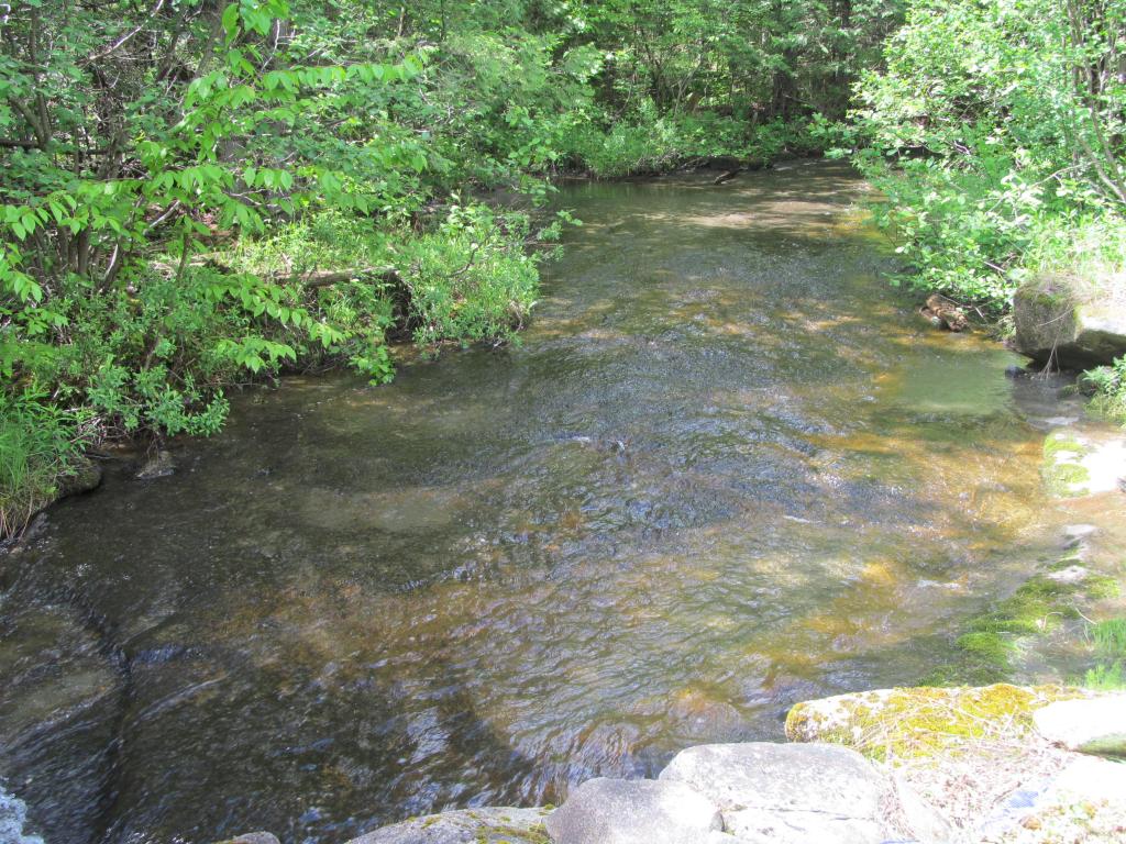 157 Wheeler Road Holland, VT 05830 - Photo 6 of 32 Gallery Image 6