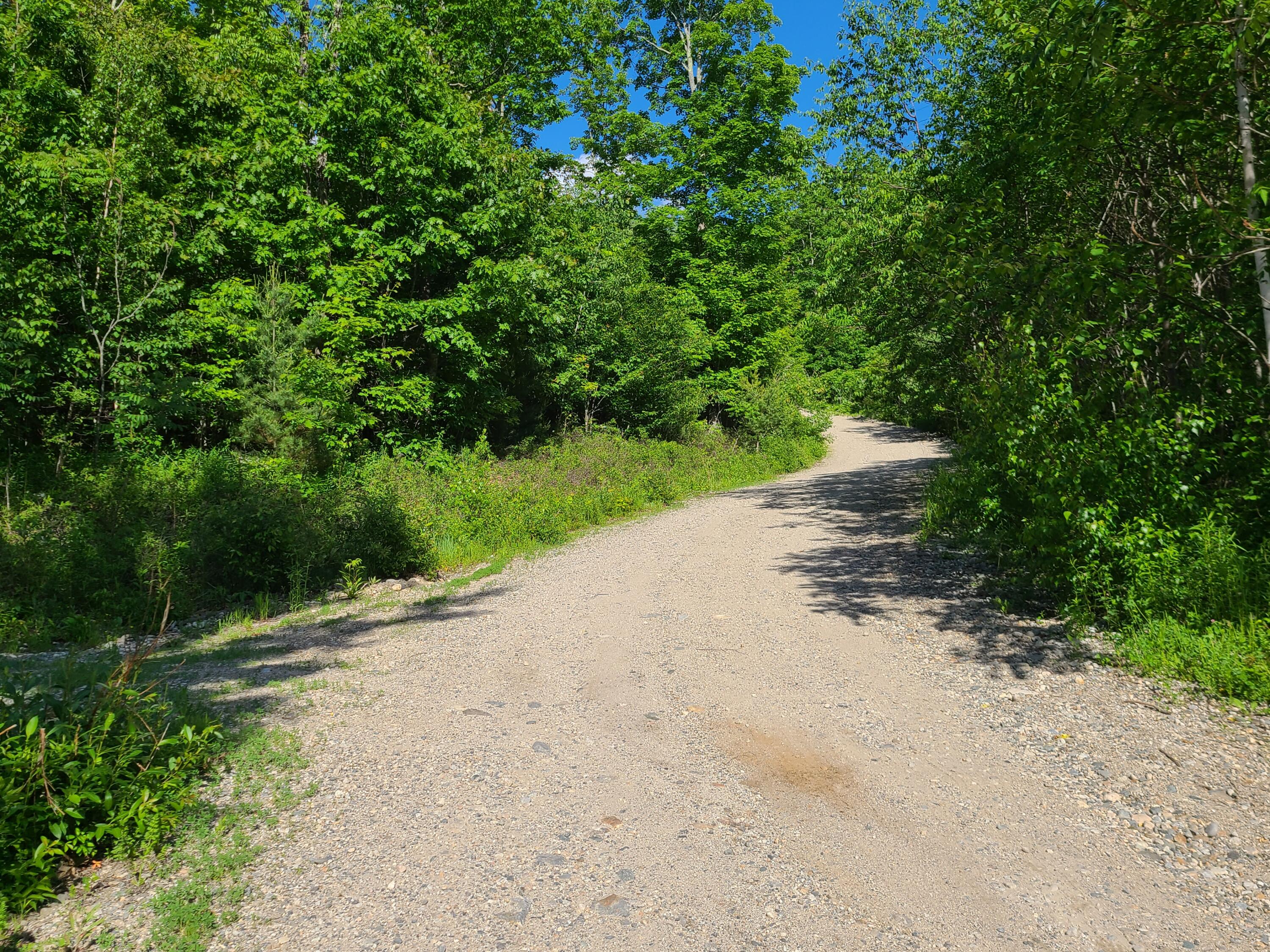 Lot 7 Parsonsfield Road Limerick, ME 04048 - Photo 8 of 13 20220606_165255