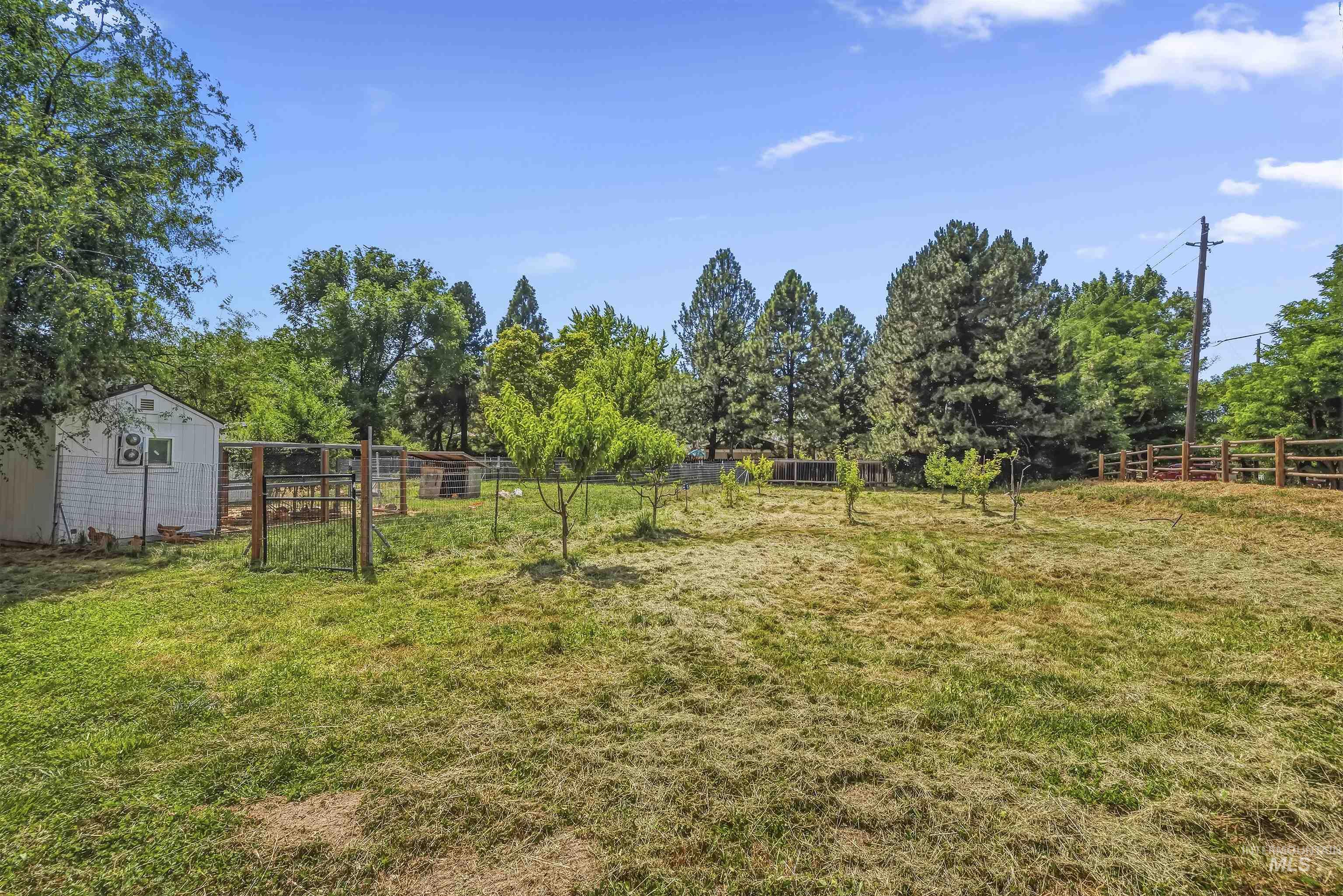 355 East Beacon Light Road Eagle, ID 83616 - Photo 39 of 47 Expansive outdoor area featuring a white storage shed, fenced enclosure, and mature trees