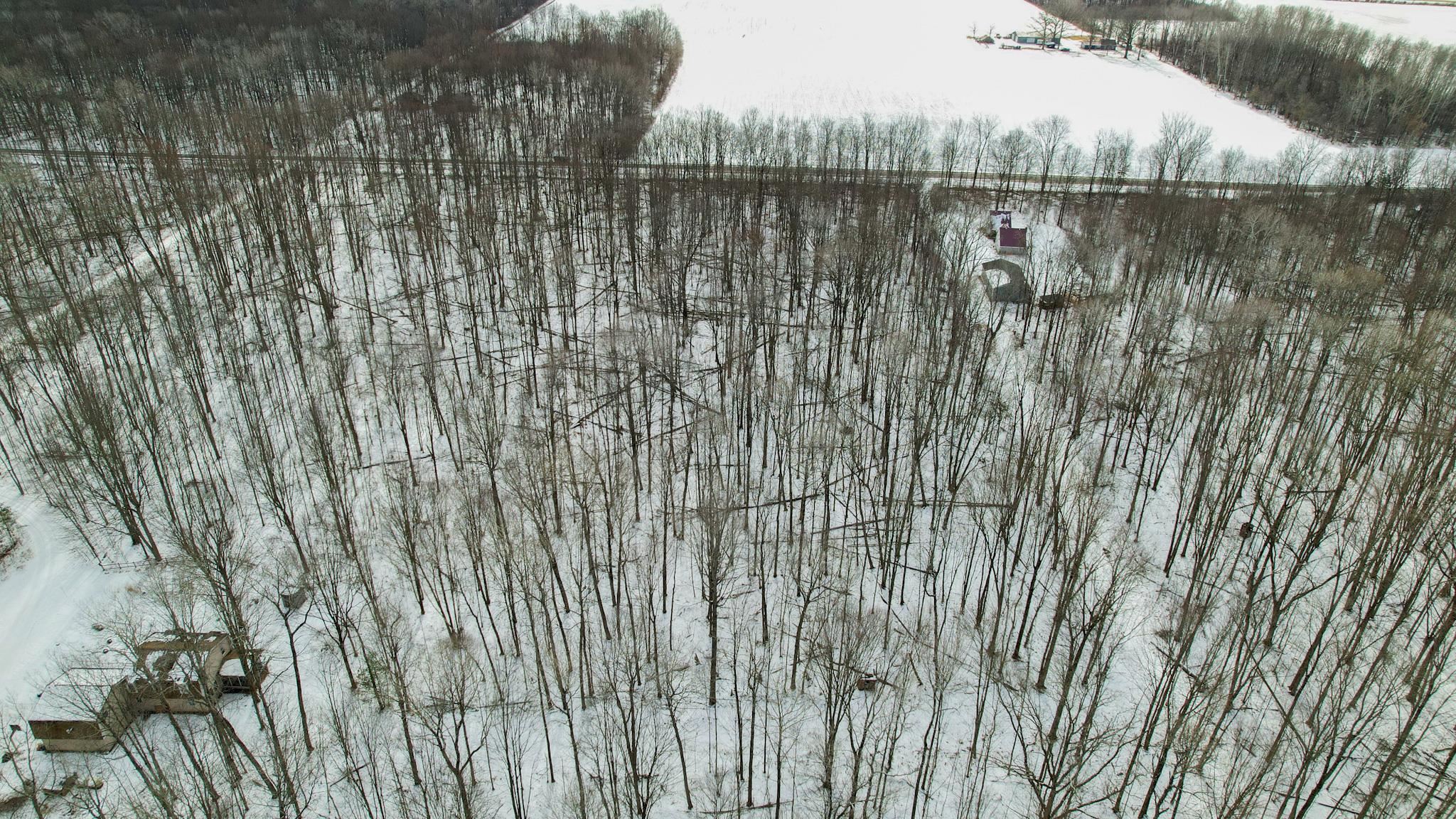 0 West Fike Road Sanford, MI 48657 - Photo 6 of 8