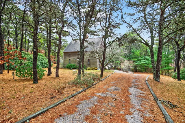 a house with trees in front of it