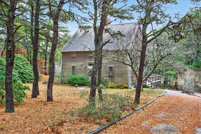 a view of a road with a tree in the background