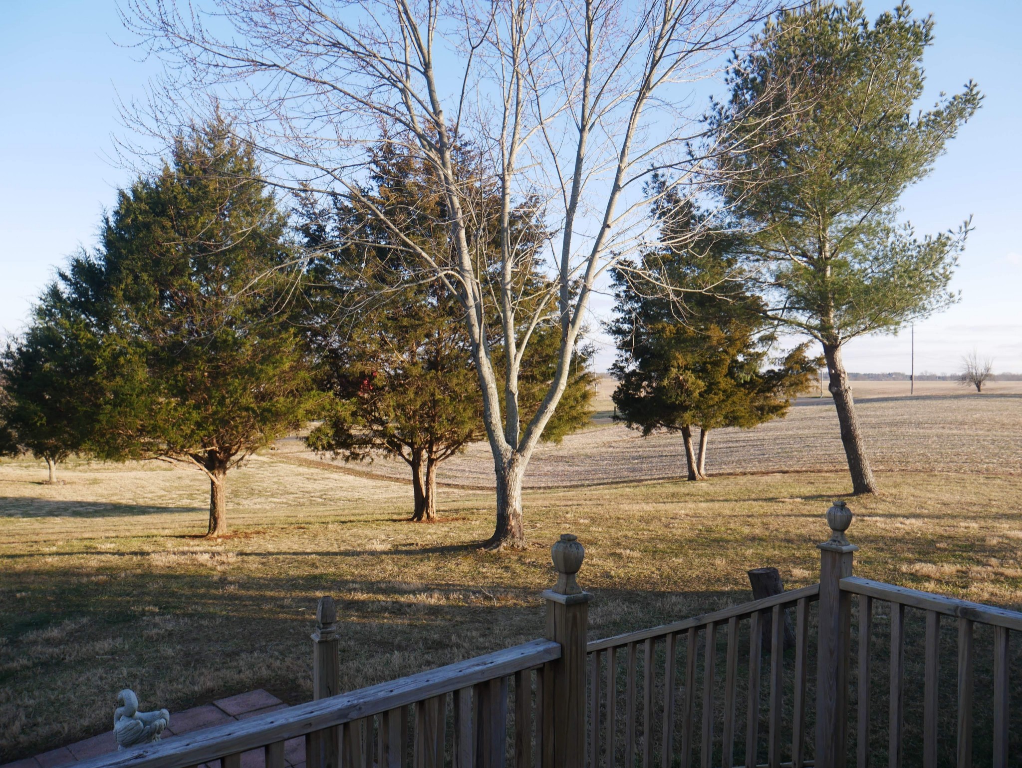 5124 Starks Road Cross Plains, TN 37049 - Photo 2 of 5 Gallery Image 2
