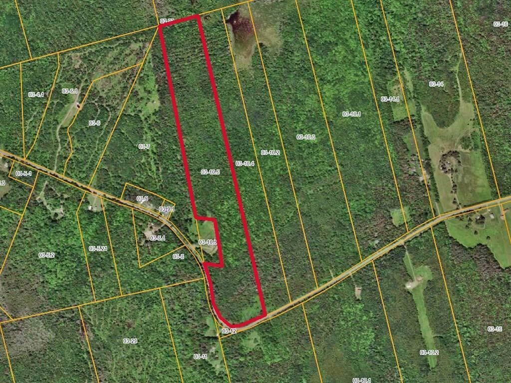 Lot 10.5 Tar Ridge Road Springfield, ME 04487 - Photo 2 of 7 prentiss-tar-ridge-rd-land-