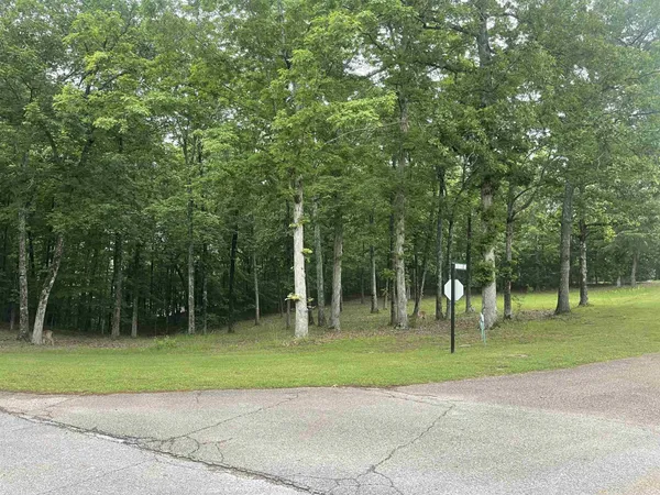 $69,900 | 0 Sandpiper Point, Counce, TN 38326
