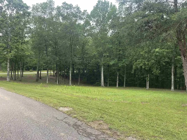 $69,900 | 0 Sandpiper Point, Counce, TN 38326