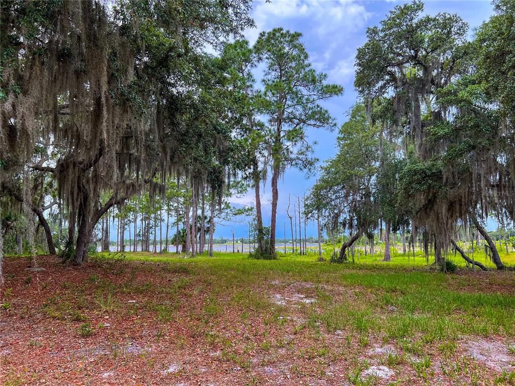 2332 Mitchell Island Road Deltona, FL 32738 - Photo 13 of 18