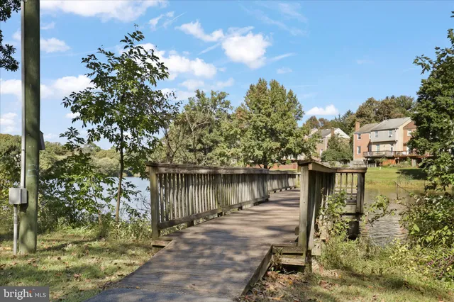 a view of a lake with a bench under large trees