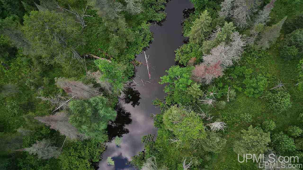 Tbd Off Nowack Road, Unit 1 Powers, MI 49874 - Photo 8 of 32
