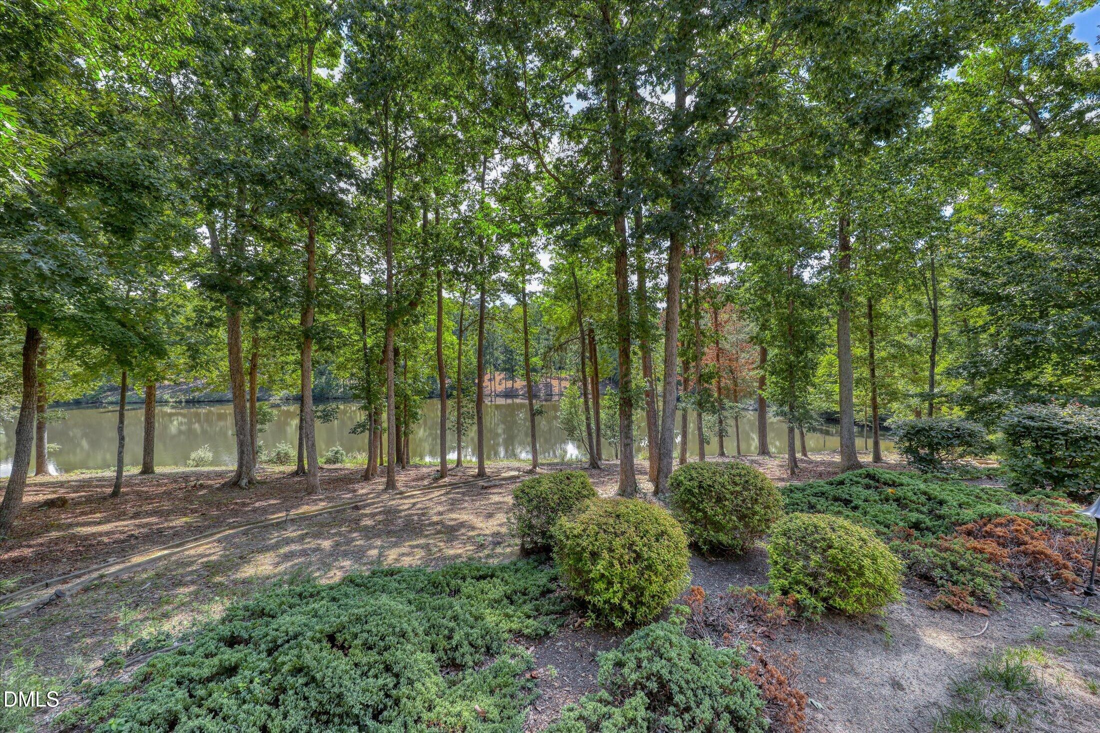 24200 Cherry Road Chapel Hill, NC 27517 - Photo 68 of 75 y148-24200 Cherry Chapel Hill-2739