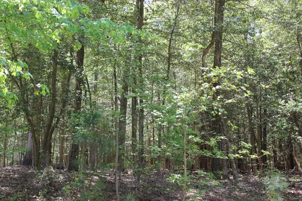 $1,900 | 1780 Yeoman Court, Unit 1780, Greenbackville, VA 23356
