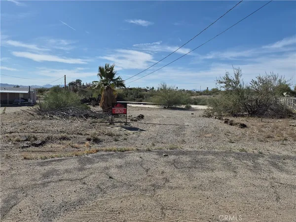 a view of a dry yard with trees