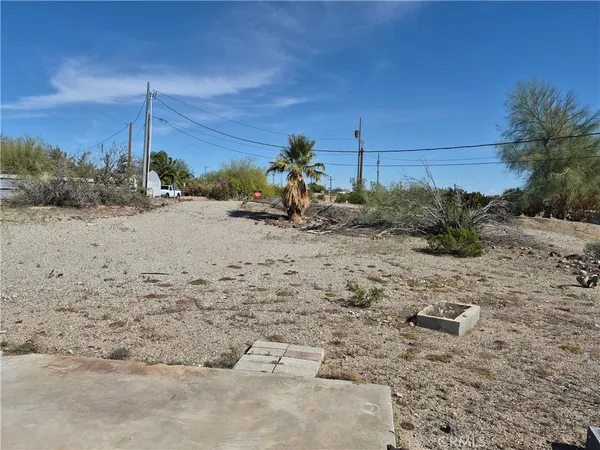 a view of a dry yard