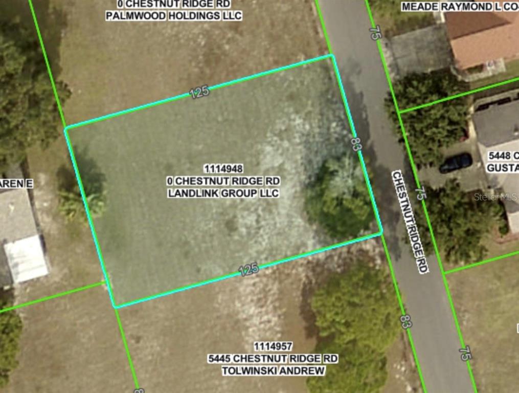 194 Chestnut Ridge Road Dade City, FL 33523 - Photo 2 of 6