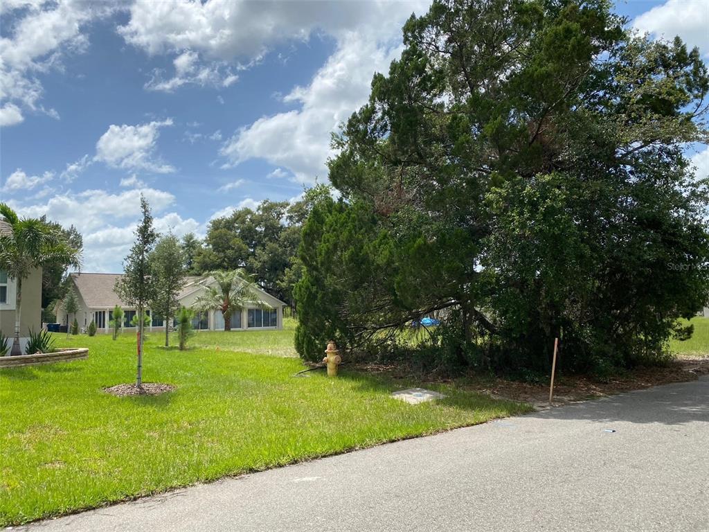 194 Chestnut Ridge Road Dade City, FL 33523 - Photo 3 of 6