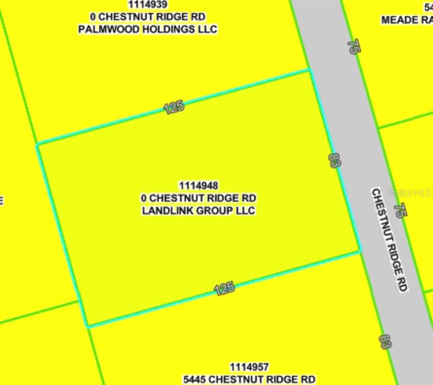 194 Chestnut Ridge Road Dade City, FL 33523 - Photo 6 of 6