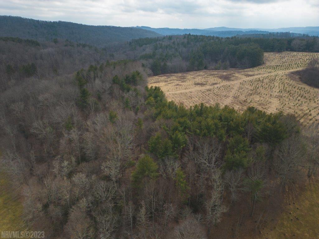 3 Long Mountain Road Southwest Willis, VA 24380 - Photo 25 of 66 Gallery Image 25