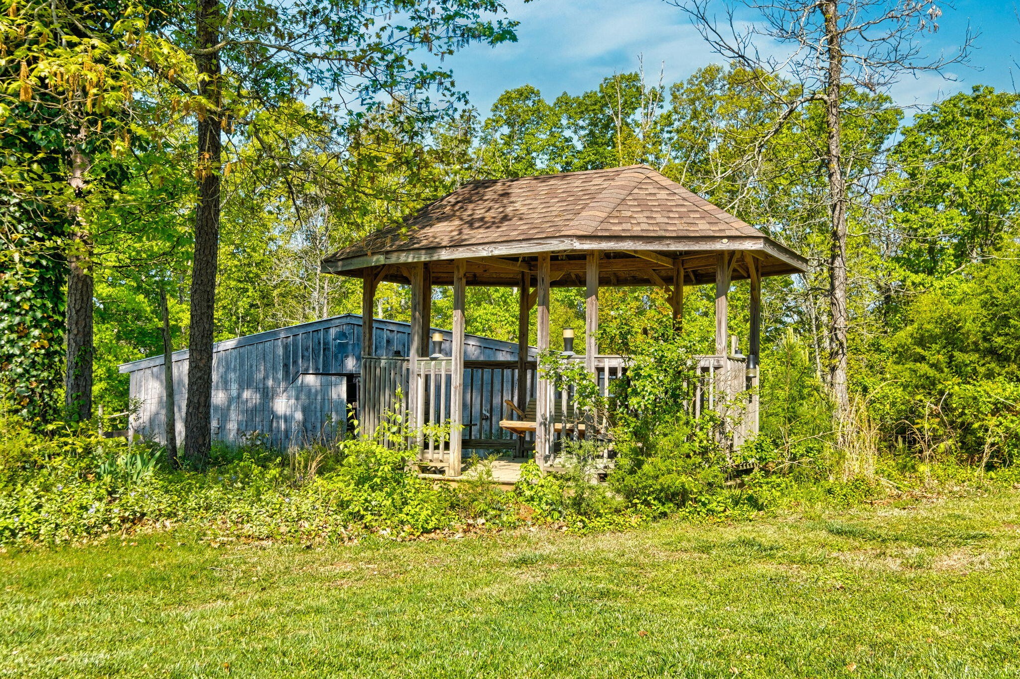 7339 Ridgeview Road Corryton, TN 37721 - Photo 28 of 31