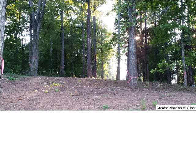 237 Valley View Drive Cropwell, AL 35054 - Photo 3 of 3
