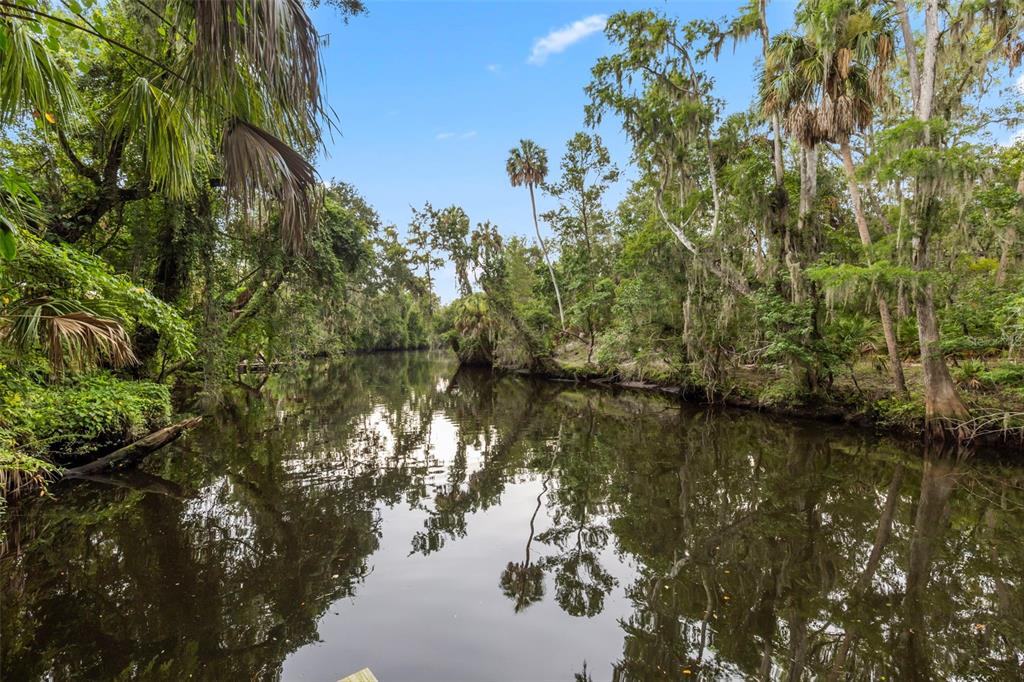 8312 Revels Road Riverview, FL 33569 - Photo 6 of 64