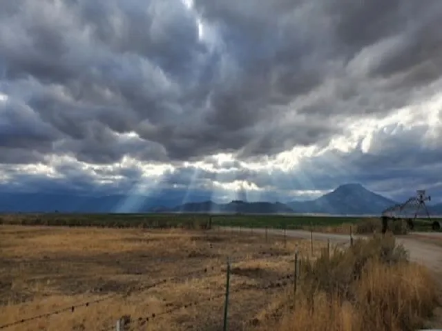 a view of city and lake