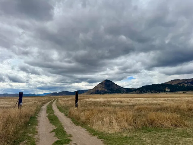 a view of swimming pool from yard