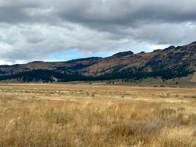 a view of an house with backyard