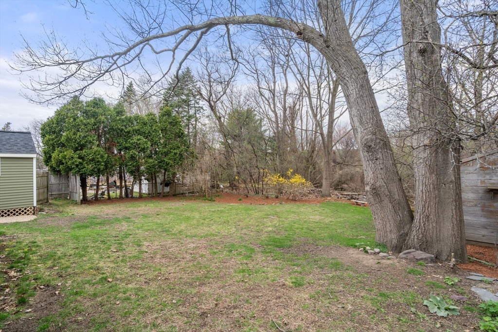 15 Martindale Road Randolph, MA 02368 - Photo 35 of 36