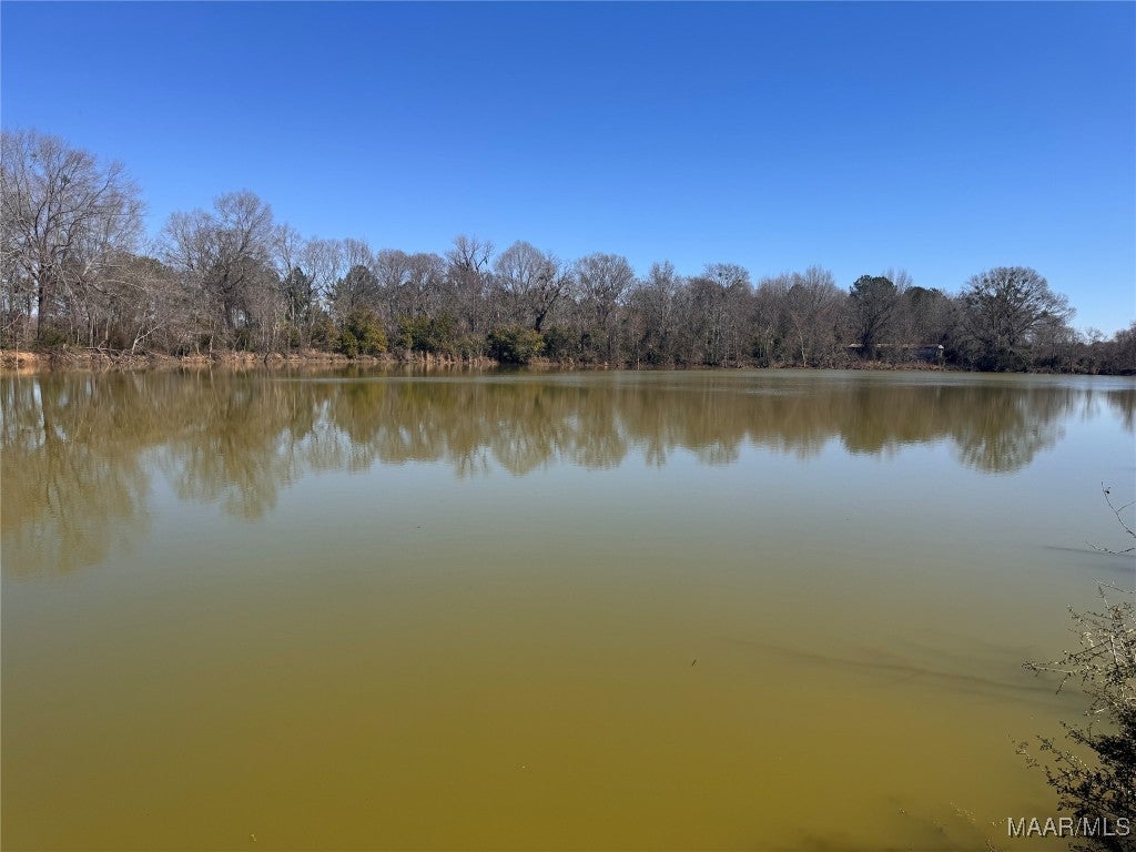 480 County Road 74 Road Selma, AL 36701 - Photo 32 of 33 Gallery Image 32