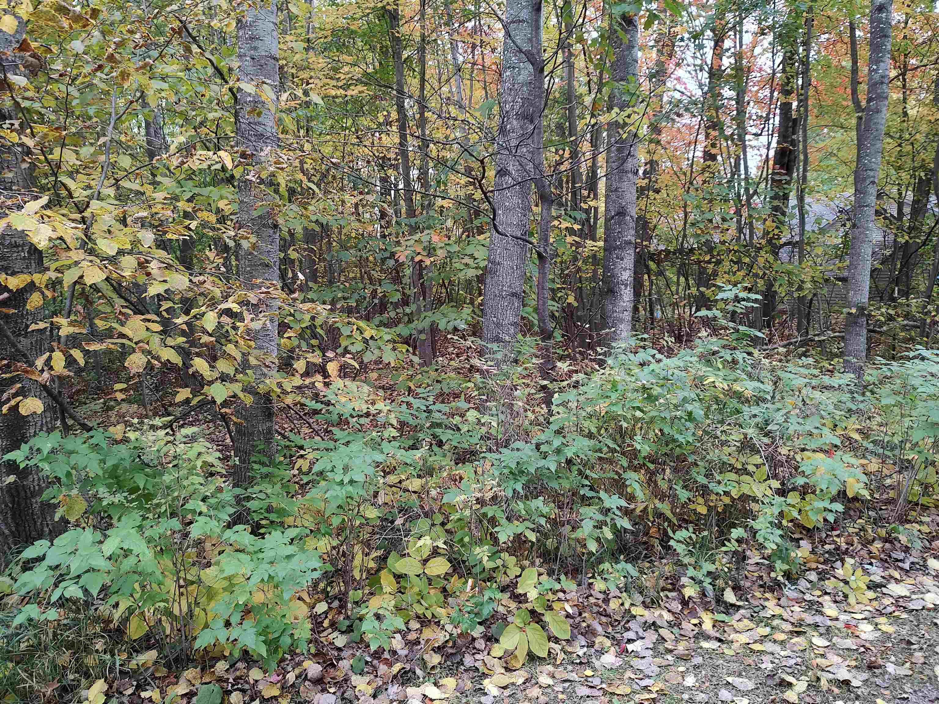 1895 Rifle River Road West Branch, MI 48661 - Photo 10 of 15 Gallery Image 10