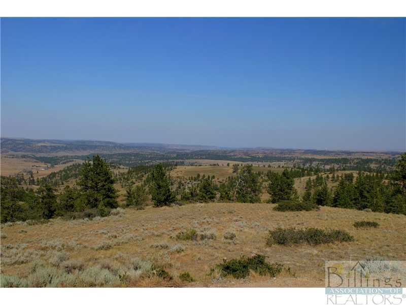 0 Black Bear Drive Columbus, MT 59019 - Photo 1 of 1 Gallery Image 1