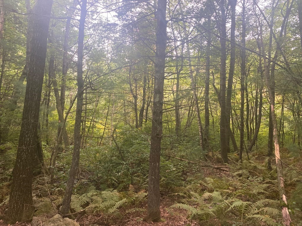 0 Lisa Lane Georgetown, MA 01833 - Photo 1 of 2 Gallery Image 1