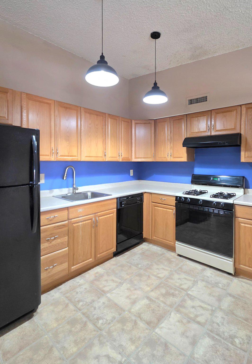 62204 Delaire Landing Road, Unit 204 Philadelphia, PA 19114 - Photo 12 of 35 Modern kitchen with stylish accents.