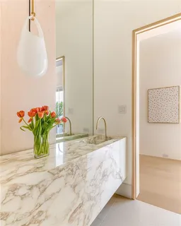a bathroom with a granite countertop sink a potted plant and a shower