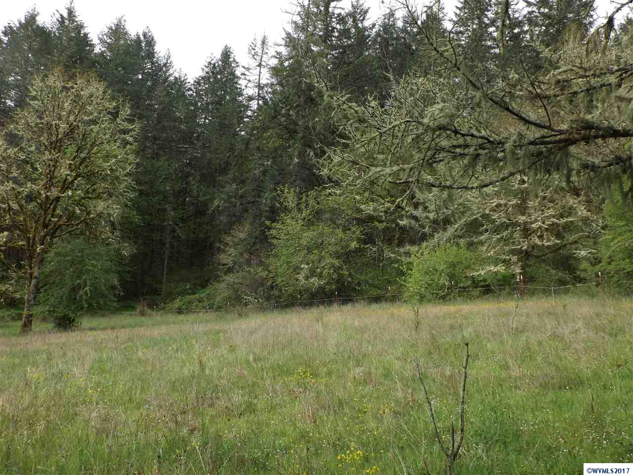 Weldon (lot 209) Road Lebanon, OR 97355 - Photo 13 of 17